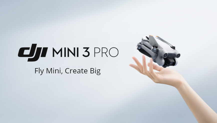 Mini 3 Pro Fly More Kit mit DJI RC, RTF inklusive 2 Akkus